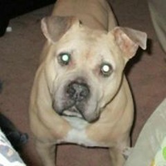 Real Recognize Hampton