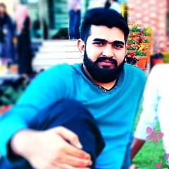 Fawad Amir
