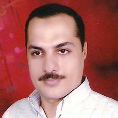 mohamed shoukry