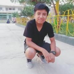Luis Alexander Pingo