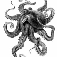 OCTOPODZ