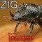 Ziginsider