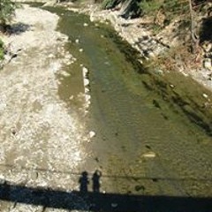 Самуха Вячеслав