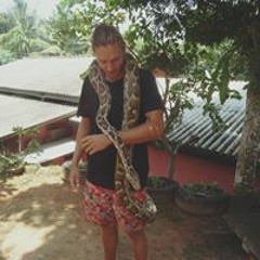 dave