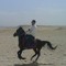 Ahmed Mashhour
