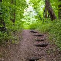 BackwoodzProductions