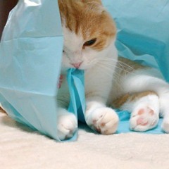 Sad/Relaxing Songs