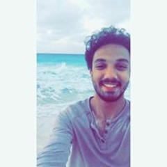 Ahmed Elfakharany