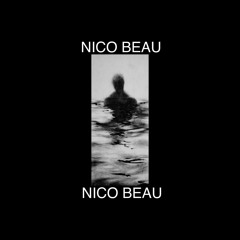 Nico Beau