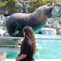 Clara Marineland