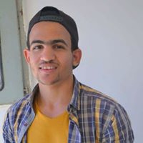 Ahmed Salah Elbaaly’s avatar