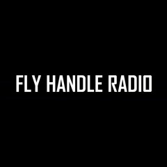Fly Handle Radio