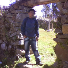 DAVID CHAVEZ PRADO