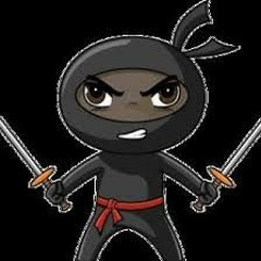 TheNinjaCrusader