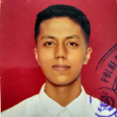 Ari Muhamad Nur