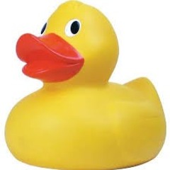 Rubber Ducky