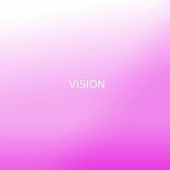 VISION