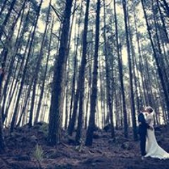 Morgaine Fitz-Gerald