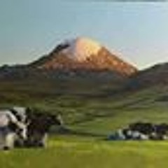 Lhkavga Svren Baatar