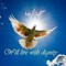 Mostafa Habeb