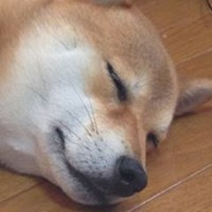 濱口響子