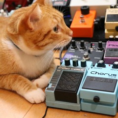 #MWTMCONSOLE1  by Davi Baeta V1 (IVO- Let Her Know)