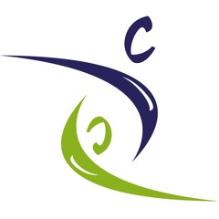 Richtungscoach und Wegbegleiter