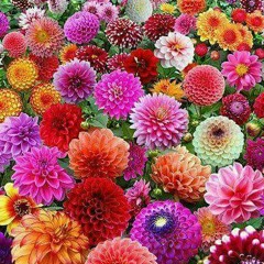 LP - When I'm Over You [Live at YouTube Space LA].mp3