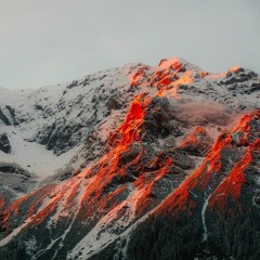 Rainer