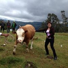 Stream Rita Flores Silva music  Listen to songs, albums 