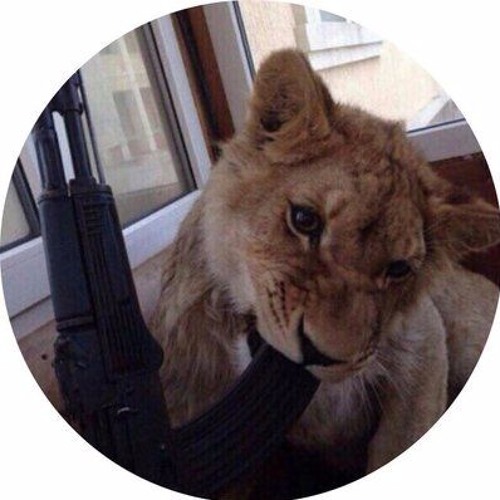 SoundCloud profile picture for @yodel