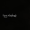 tiny elephant