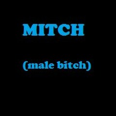 Mitches