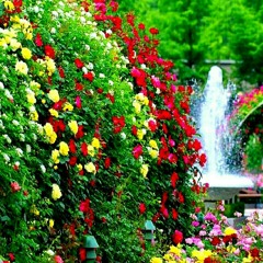 بالقرآن نرتقي 💖