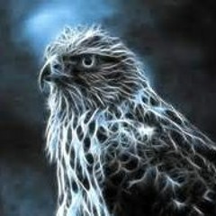 NITEHAWKX