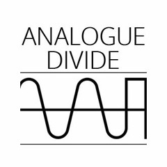 ANALOGUE DIVIDE