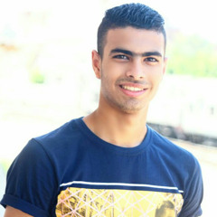 mohamed elawady