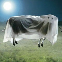 Ghost Moo