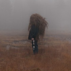 Marcus Reistad