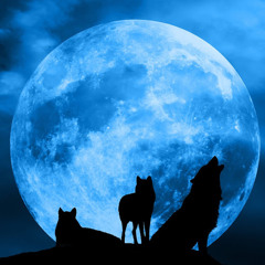 Kade Bluemoon