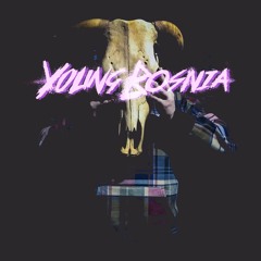 Young Bosnia Remixes