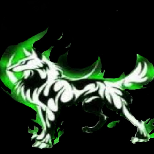 YAC lobo gaviria’s avatar