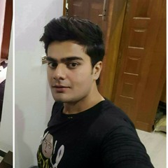 Salahuddin Tariq