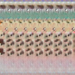 6tDO