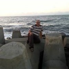 شريف المصري المصري