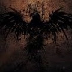 Shadow Phoenix