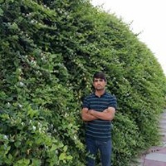 Faizahmad Faizi