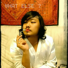 Lübériam le loup gris