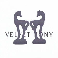 Velvet Pony