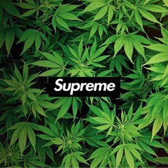 SUPREME.123